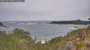 ./images/calvert/foggy-cove/20260526/foggy-cove20260526_115001M.jpg