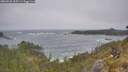 ./images/calvert/foggy-cove/20260526/foggy-cove20260526_115501M.jpg