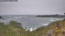 ./images/calvert/foggy-cove/20260526/foggy-cove20260526_120001M.jpg