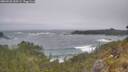 ./images/calvert/foggy-cove/20260526/foggy-cove20260526_120502M.jpg