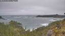 ./images/calvert/foggy-cove/20260526/foggy-cove20260526_121001M.jpg
