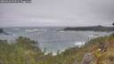 ./images/calvert/foggy-cove/20260526/foggy-cove20260526_121502M.jpg