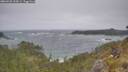 ./images/calvert/foggy-cove/20260526/foggy-cove20260526_122001M.jpg