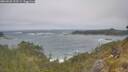 ./images/calvert/foggy-cove/20260526/foggy-cove20260526_122501M.jpg