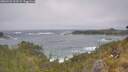 ./images/calvert/foggy-cove/20260526/foggy-cove20260526_123501M.jpg