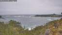 ./images/calvert/foggy-cove/20260526/foggy-cove20260526_124001M.jpg