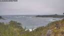 ./images/calvert/foggy-cove/20260526/foggy-cove20260526_124501M.jpg