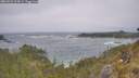 ./images/calvert/foggy-cove/20260526/foggy-cove20260526_125001M.jpg