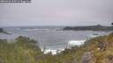 ./images/calvert/foggy-cove/20260526/foggy-cove20260526_125501M.jpg