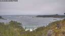 ./images/calvert/foggy-cove/20260526/foggy-cove20260526_130501M.jpg