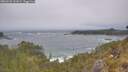 ./images/calvert/foggy-cove/20260526/foggy-cove20260526_131001M.jpg