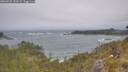 ./images/calvert/foggy-cove/20260526/foggy-cove20260526_131501M.jpg