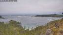 ./images/calvert/foggy-cove/20260526/foggy-cove20260526_132001M.jpg