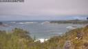 ./images/calvert/foggy-cove/20260526/foggy-cove20260526_133001M.jpg
