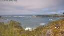 ./images/calvert/foggy-cove/20260526/foggy-cove20260526_133501M.jpg