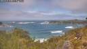 ./images/calvert/foggy-cove/20260526/foggy-cove20260526_134001M.jpg