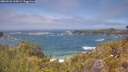 ./images/calvert/foggy-cove/20260526/foggy-cove20260526_134501M.jpg