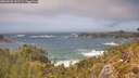 ./images/calvert/foggy-cove/20260526/foggy-cove20260526_141501M.jpg