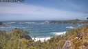 ./images/calvert/foggy-cove/20260526/foggy-cove20260526_142001M.jpg