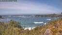 ./images/calvert/foggy-cove/20260526/foggy-cove20260526_143501M.jpg