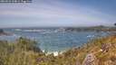 ./images/calvert/foggy-cove/20260526/foggy-cove20260526_144001M.jpg