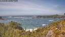 ./images/calvert/foggy-cove/20260526/foggy-cove20260526_144501M.jpg
