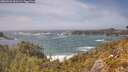 ./images/calvert/foggy-cove/20260526/foggy-cove20260526_151501M.jpg