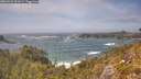 ./images/calvert/foggy-cove/20260526/foggy-cove20260526_152002M.jpg