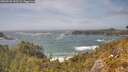 ./images/calvert/foggy-cove/20260526/foggy-cove20260526_152501M.jpg