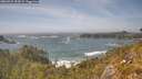 ./images/calvert/foggy-cove/20260526/foggy-cove20260526_154501M.jpg