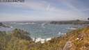 ./images/calvert/foggy-cove/20260526/foggy-cove20260526_155001M.jpg