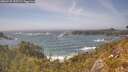 ./images/calvert/foggy-cove/20260526/foggy-cove20260526_155501M.jpg