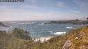./images/calvert/foggy-cove/20260526/foggy-cove20260526_164502M.jpg
