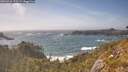 ./images/calvert/foggy-cove/20260526/foggy-cove20260526_170501M.jpg