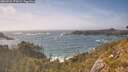 ./images/calvert/foggy-cove/20260526/foggy-cove20260526_171002M.jpg