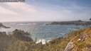 ./images/calvert/foggy-cove/20260526/foggy-cove20260526_171501M.jpg