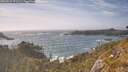 ./images/calvert/foggy-cove/20260526/foggy-cove20260526_172501M.jpg