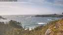 ./images/calvert/foggy-cove/20260526/foggy-cove20260526_173501M.jpg