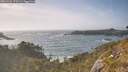 ./images/calvert/foggy-cove/20260526/foggy-cove20260526_175501M.jpg