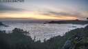 ./images/calvert/foggy-cove/20260526/foggy-cove20260526_220001M.jpg