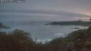 ./images/calvert/foggy-cove/20260527/foggy-cove20260527_045501M.jpg