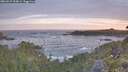 ./images/calvert/foggy-cove/20260527/foggy-cove20260527_054001M.jpg