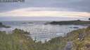 ./images/calvert/foggy-cove/20260527/foggy-cove20260527_054501M.jpg