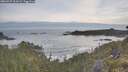 ./images/calvert/foggy-cove/20260527/foggy-cove20260527_061001M.jpg