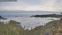 ./images/calvert/foggy-cove/20260527/foggy-cove20260527_061501M.jpg
