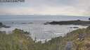 ./images/calvert/foggy-cove/20260527/foggy-cove20260527_062001M.jpg