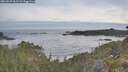 ./images/calvert/foggy-cove/20260527/foggy-cove20260527_062501M.jpg