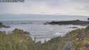 ./images/calvert/foggy-cove/20260527/foggy-cove20260527_063001M.jpg