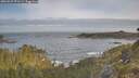 ./images/calvert/foggy-cove/20260527/foggy-cove20260527_071501M.jpg