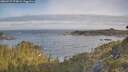 ./images/calvert/foggy-cove/20260527/foggy-cove20260527_073001M.jpg